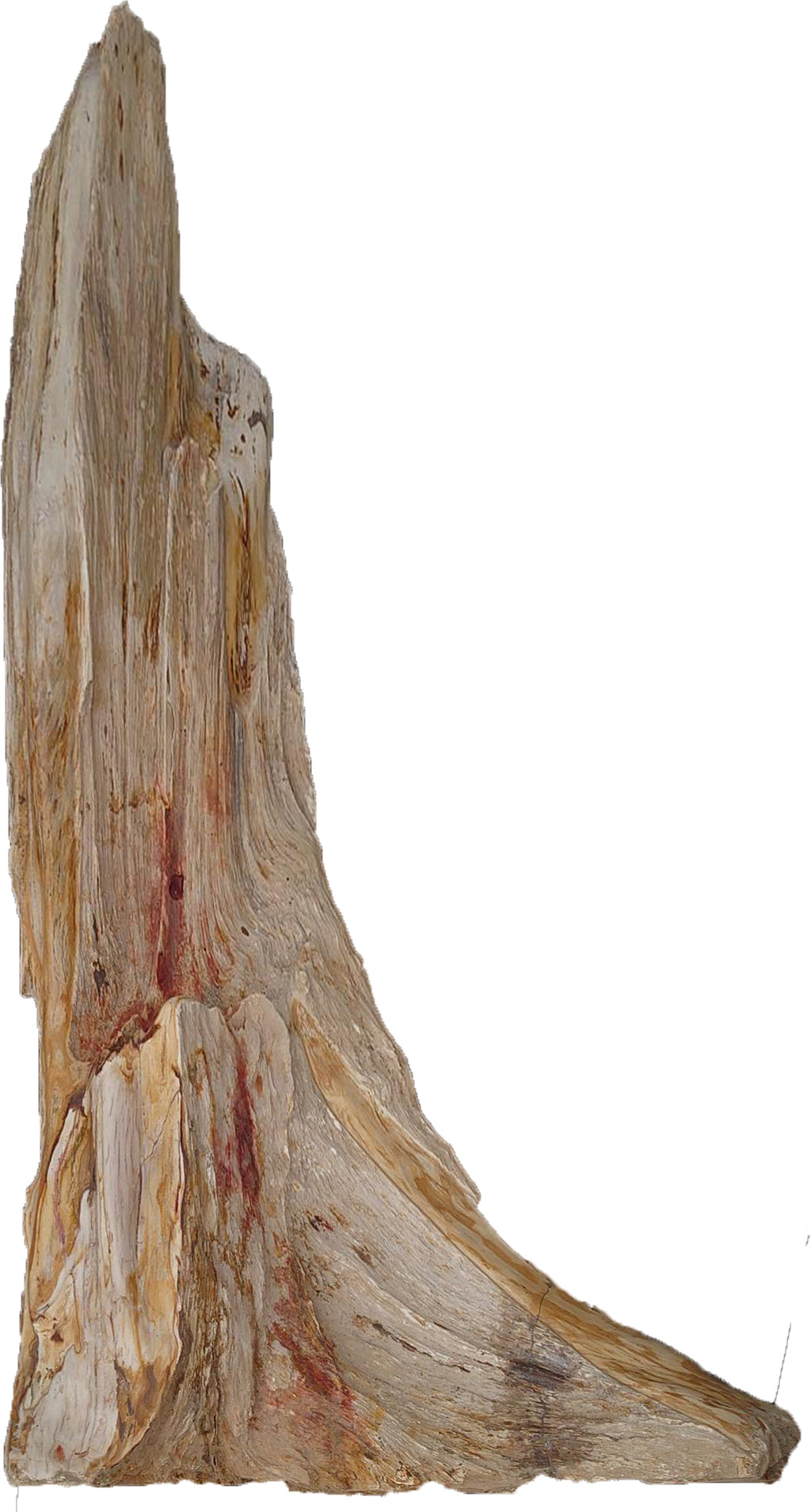 木化石　景石 | 造園資材館