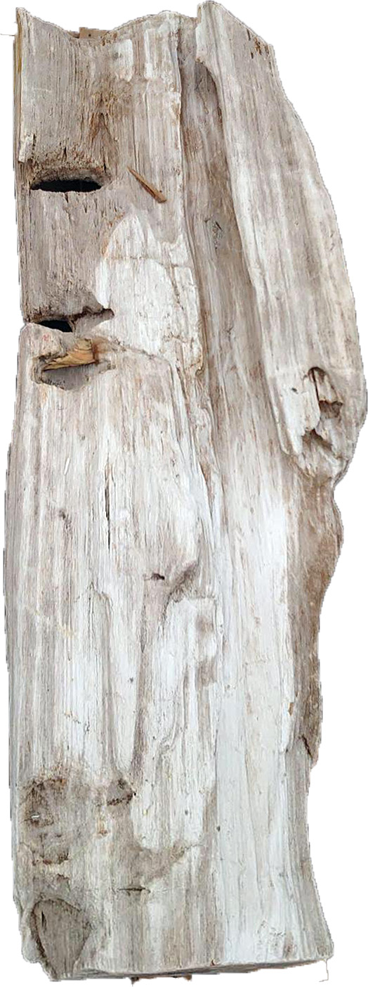 木化石　景石 | 造園資材館