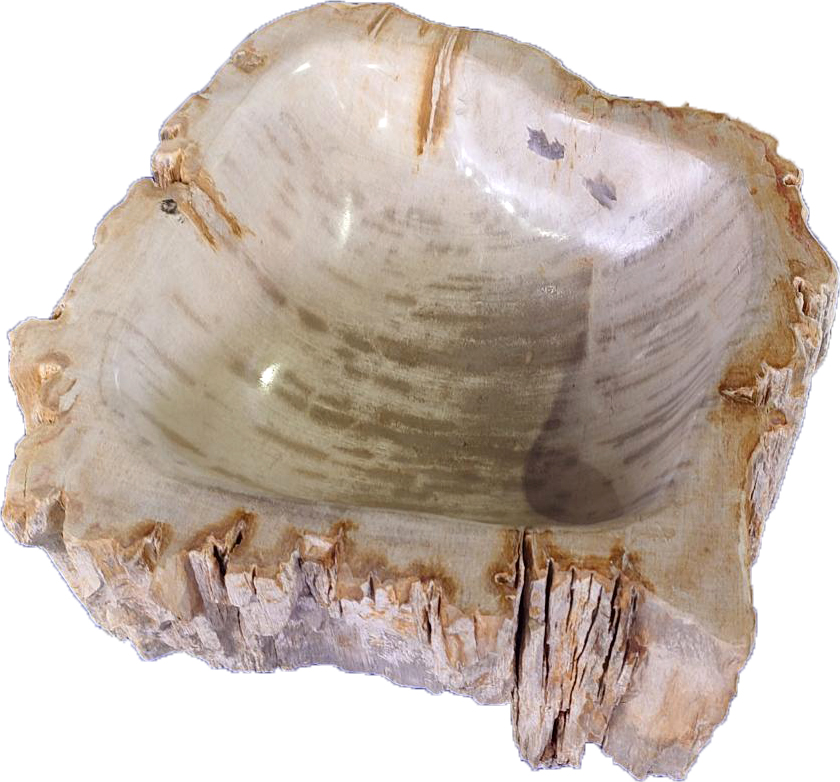 木化石　刻水鉢（ときみずばち） | 造園資材館