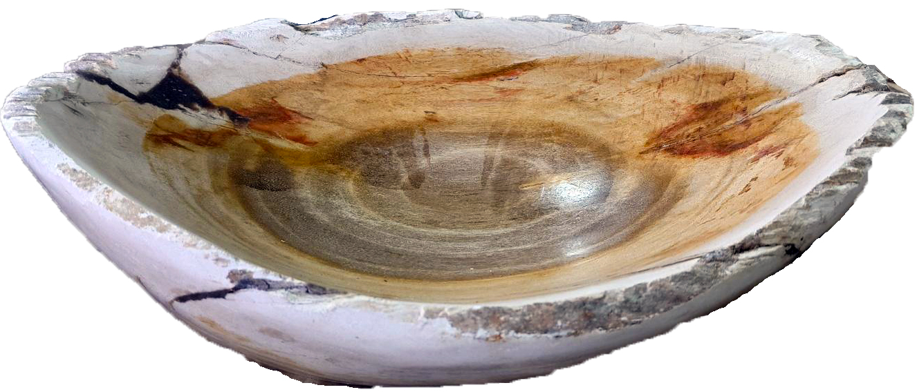 木化石　刻（とき）ウォーターボウル | 造園資材館