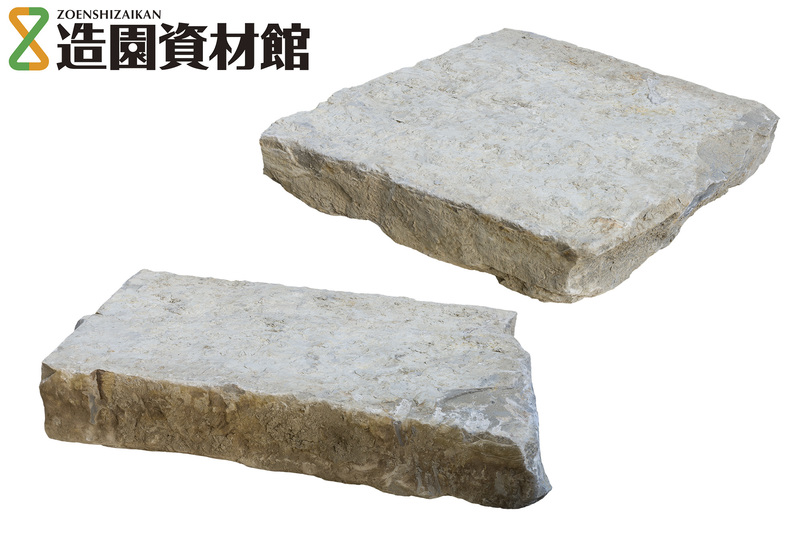 コルテミーリア 大乱形 | 造園資材館