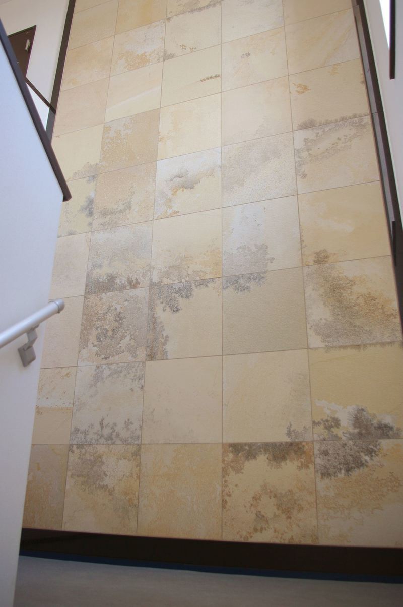 ゾルンホーフェン 方形 機械カット仕上げ | 造園資材館