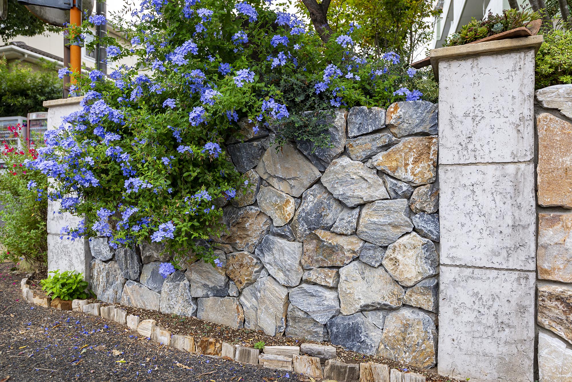 ロックフェイス アクロン | 造園資材館