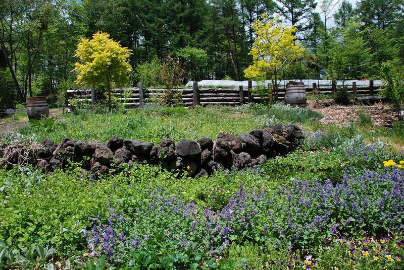 浅間黒朴(溶岩石) | 造園資材館