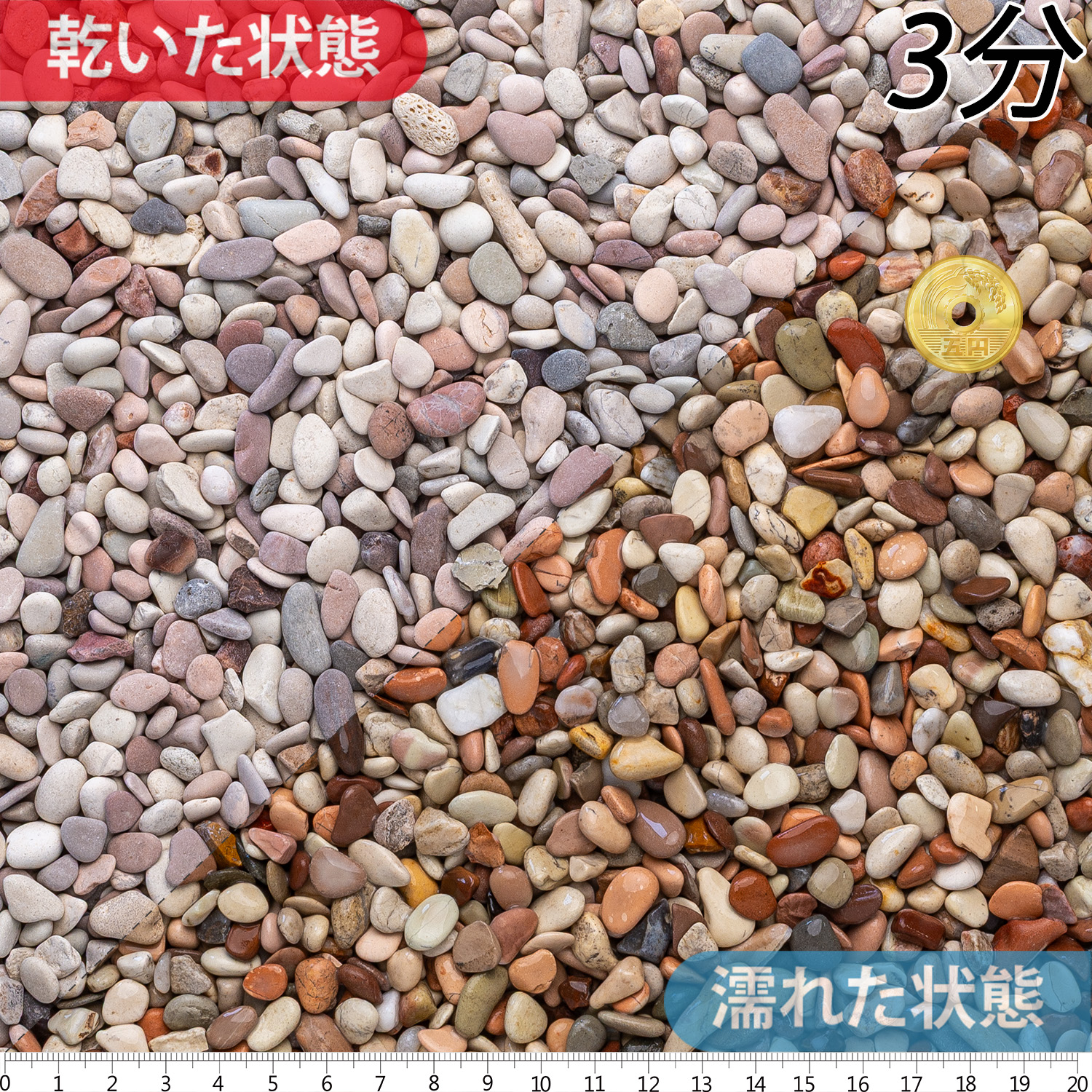 桂林 | 造園資材館