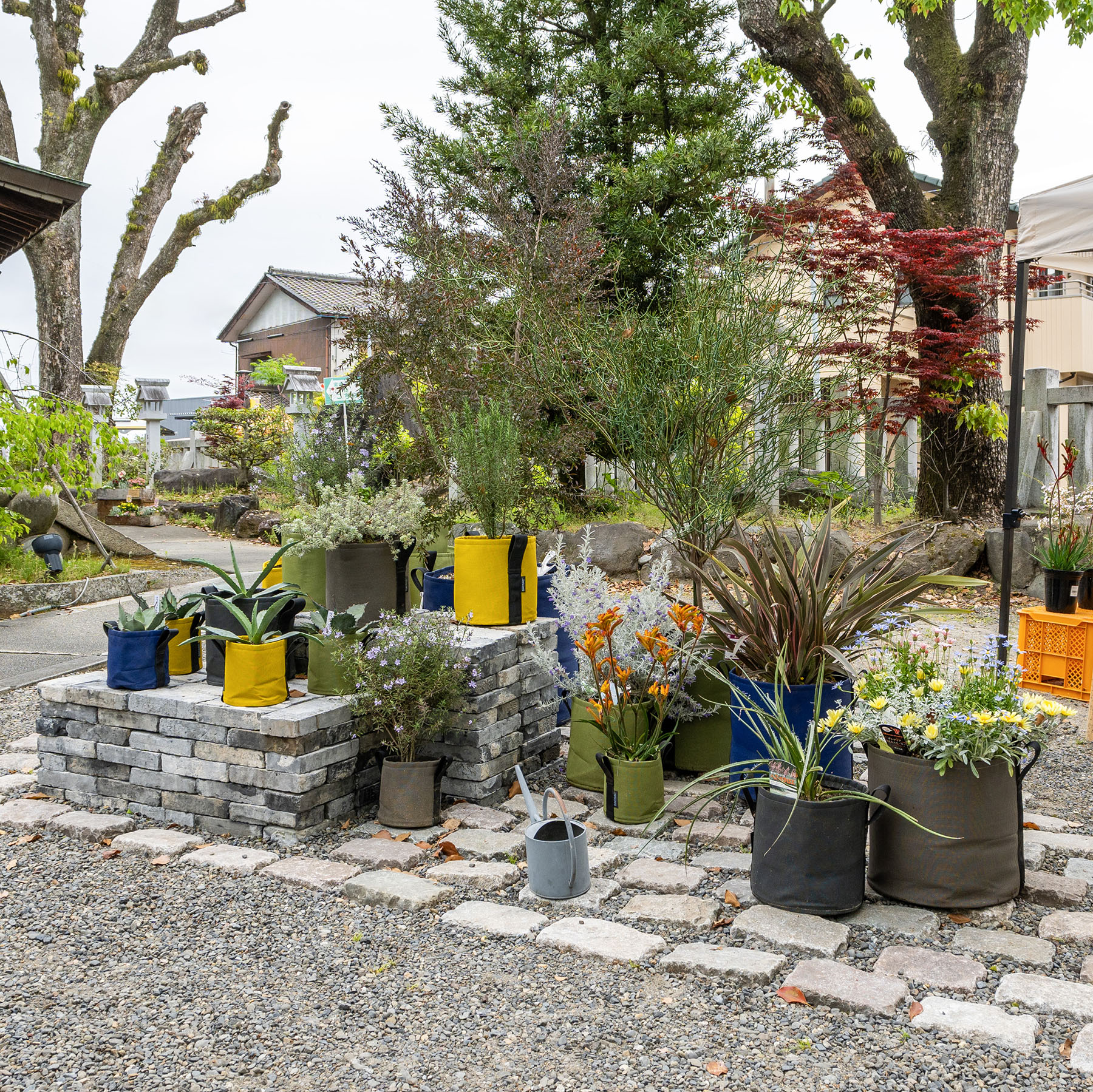 バックサック ポット ASPHALTE | 造園資材館