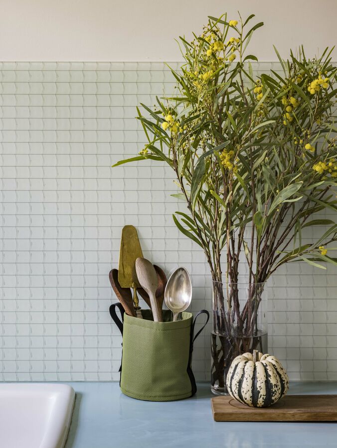 バックサック ポット YUCCA | 造園資材館