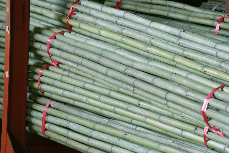 青竹(真竹) | 造園資材館