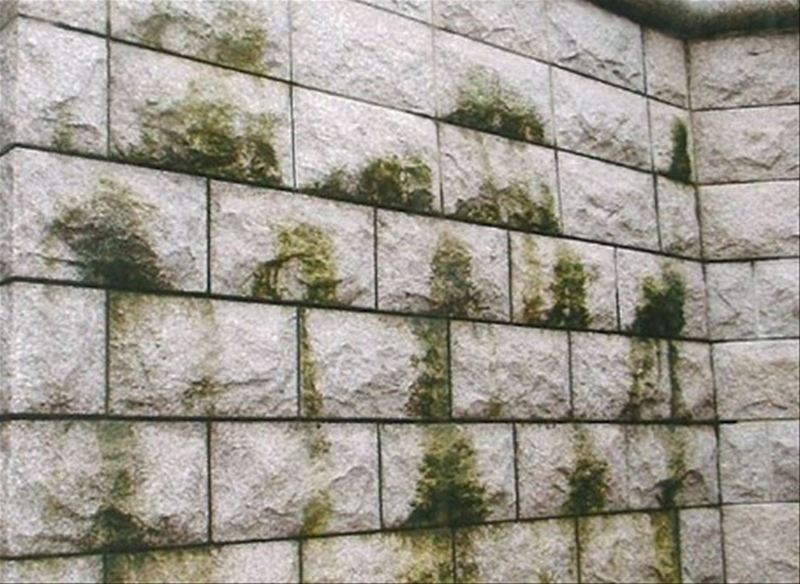 イシクリーンスーパーSP　 | 造園資材館